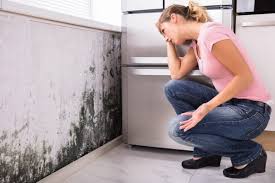 Best HVAC Mold Inspection and Cleaning  in Benton, TN